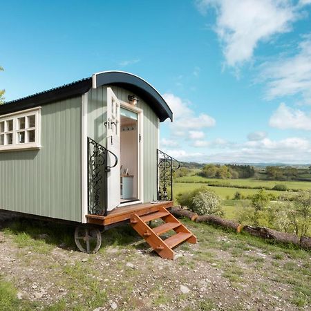 The Heron Shepherds Hut At Lyth Valley Brigsteer Zewnętrze zdjęcie